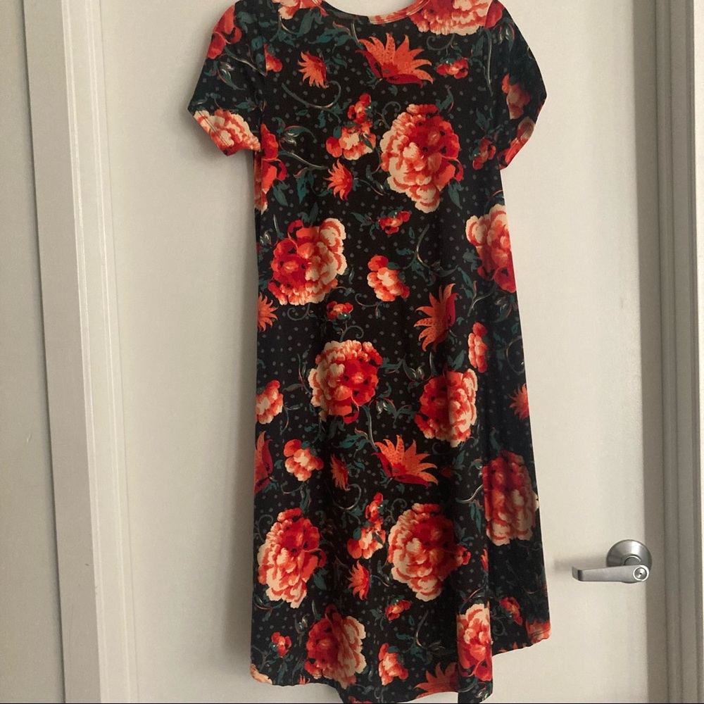 Circle hem, high low black floral dress. Extra small (runs big). Lula roe.